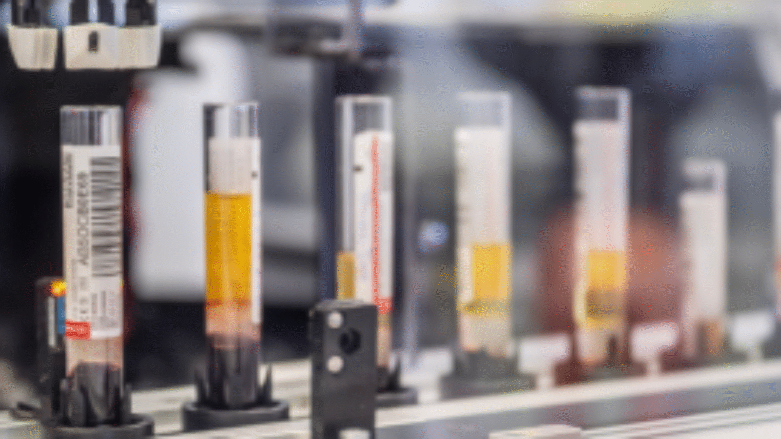 Preventie Screening & genetische diversiteit