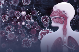 Respiratoire infecties